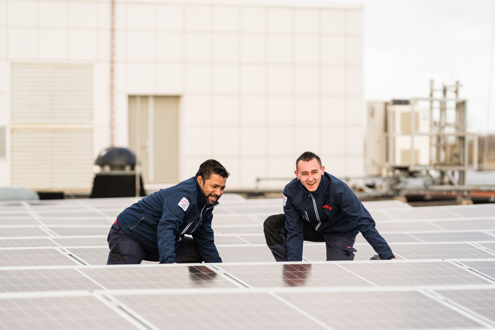 Driestar zonnepanelen